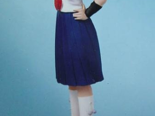 1-7 scale Ako