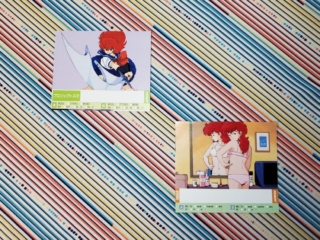 These could be used to personalize your cassette cases. They seem to have been a bonus from Animedia magazine.